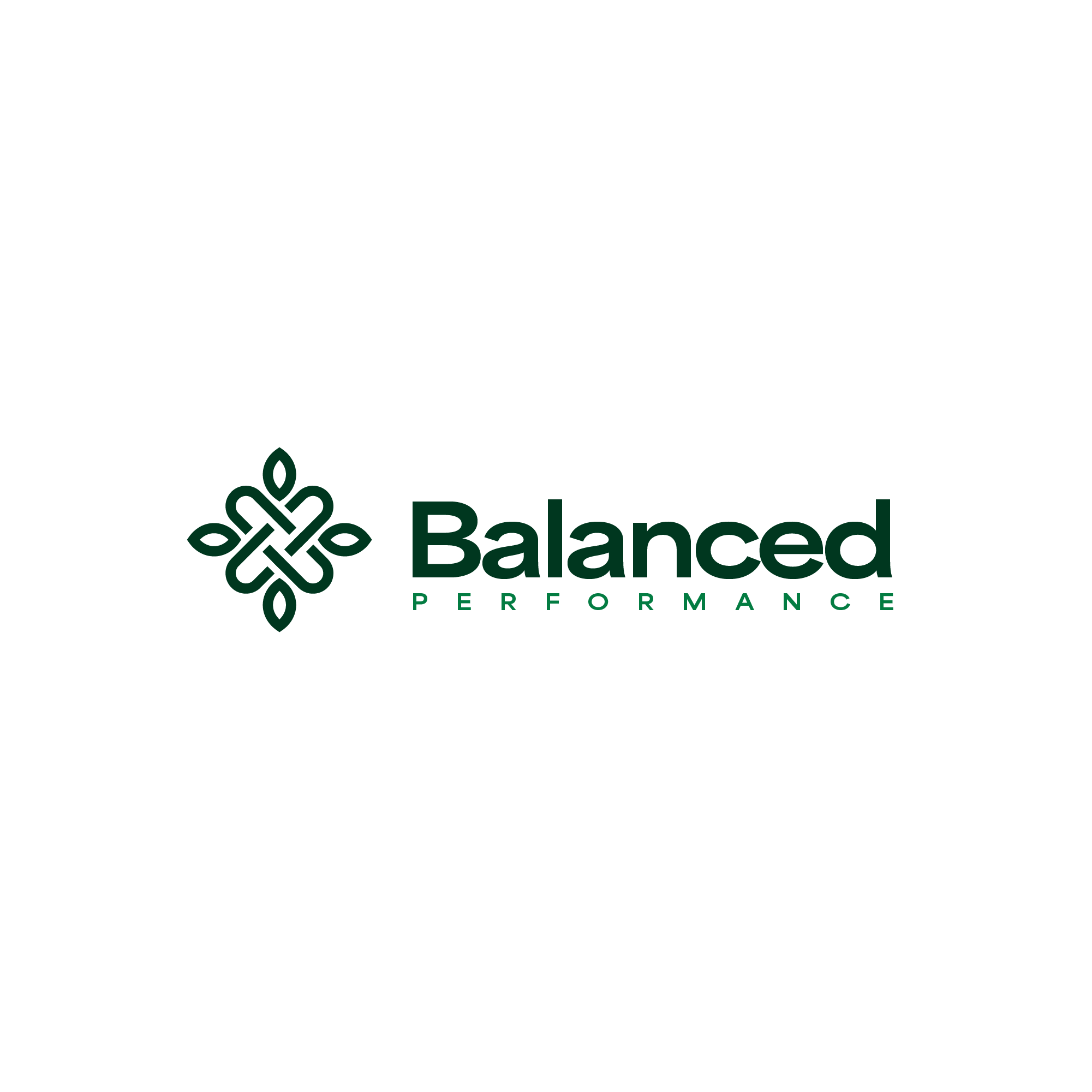 Balanced Performance Logo